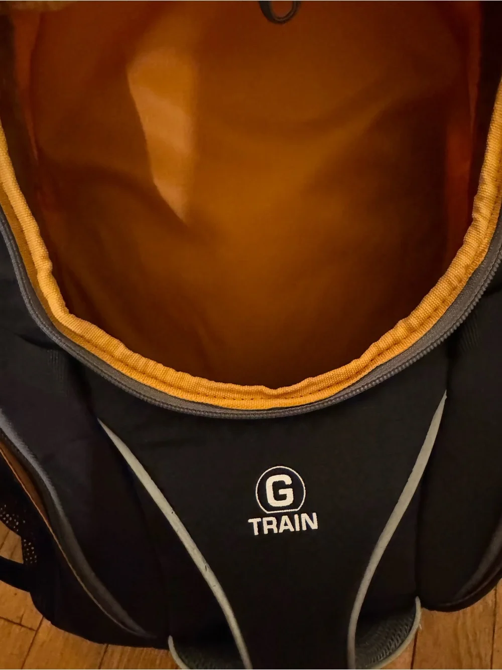Kurgo G-Train Dog Carrier Backpack
